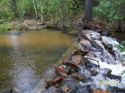 The pond at Fowler Cabin