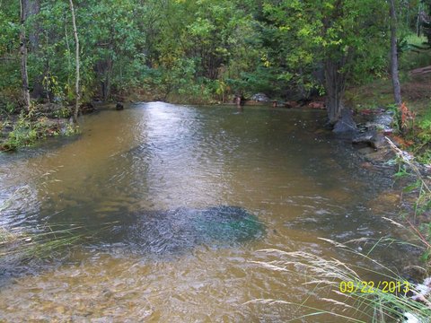 The pond at Fowler Cabin