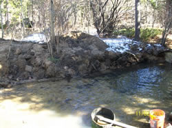 The pond at Fowler Cabin